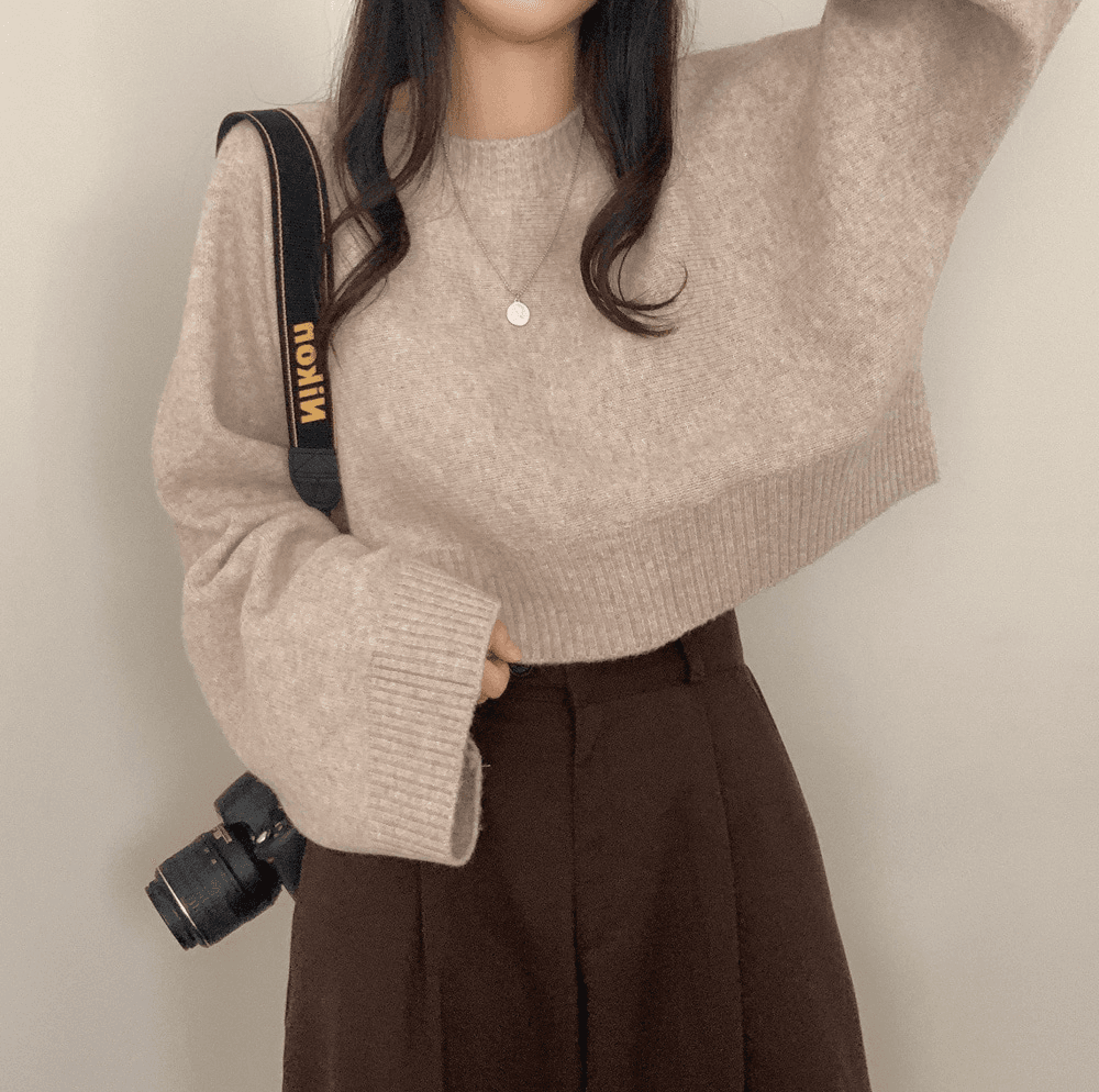 겨울 쇼트 스타일 스웨터 한국 스타일 chic 느긋한 바람 스웨터 루즈핏 작은 키 긴팔 라운드 넥 풀오버 니트 스웨터 상세 이미지 9