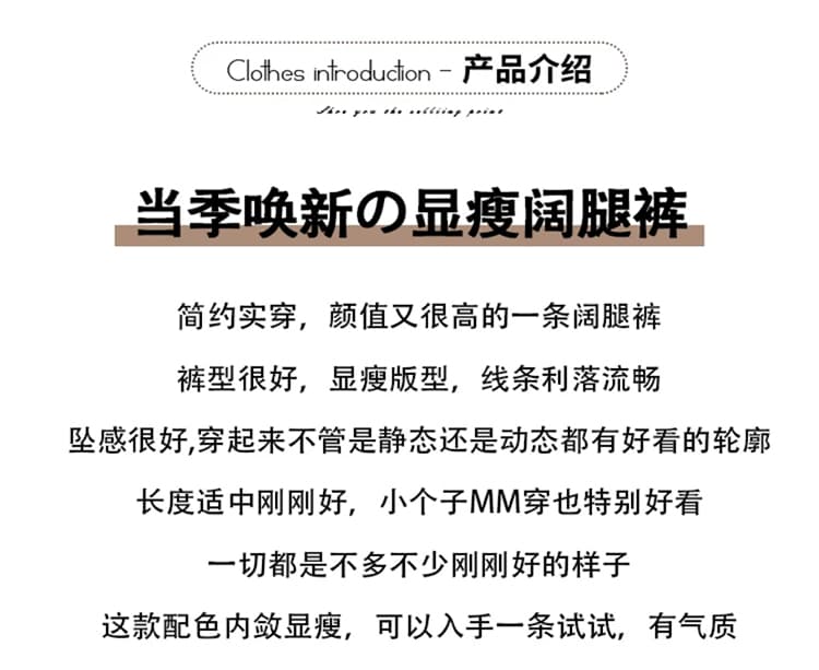 검정색 하이웨이스트 다용도 캐주얼 바지 배기 바지 스트레이트 팬츠 여성 가을 작은 대중 디자인 센스 루즈핏 긴 바지 와이드 레그 팬츠 상세 이미지 2