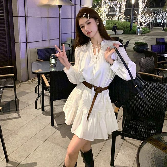 프랑스식 주름 고급 달콤함 요정 여성 드레스 2026 년 가을 새로운 슬림해 보이는 표지 고기 명문 여성 치마 트렌디 상세 이미지 1