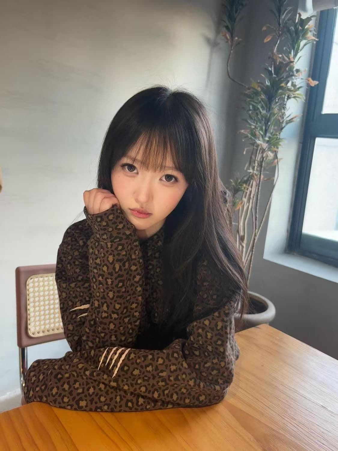얇은 스타일 털이 있는 이후 패키지 기사 자수 순수한 Mianhua 면 복합 후드티 여성 상세 이미지 2