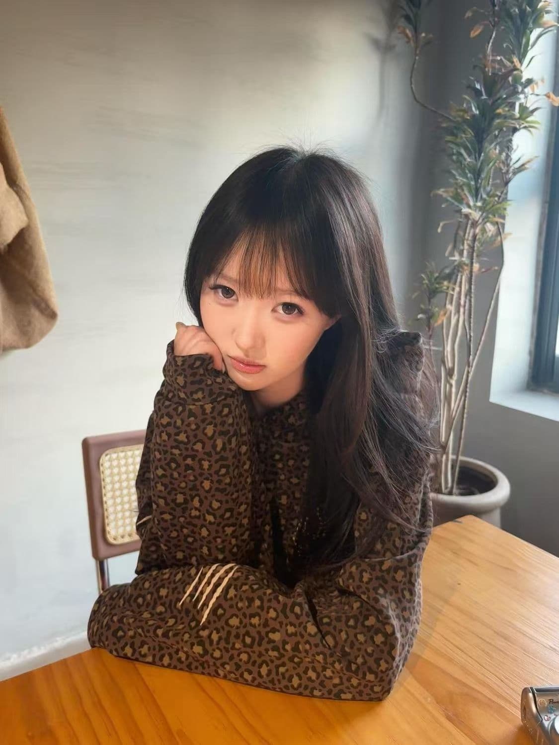 얇은 스타일 털이 있는 이후 패키지 기사 자수 순수한 Mianhua 면 복합 후드티 여성 상세 이미지 4