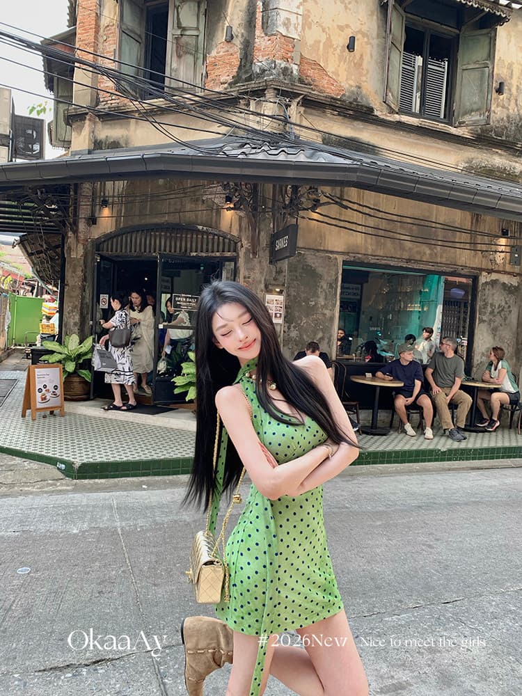폴리 에스터 인터넷 원단 네리 에덴 여행 프랑스식 레트로 휴가 바람 도트 무늬 행침 목 V넥 꼬집기 허리 드레스 상세 이미지 2